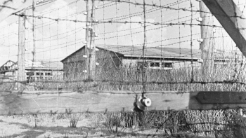 Teren b. niemieckiego obozu Stutthof. 1946 r. Fot. PAP/CAF/M. Sprudin