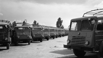 Samochody Star 20 na parkingu przed Fabryką Samochodów Ciężarowych. Starachowice, 1953 r. Fot. PAP/CAF/Kondracki
