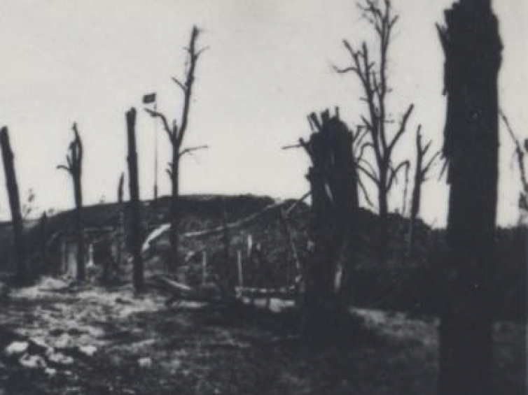 Niemiecka flaga nad Westerplatte. Na pierwszym planie drzewa zniszczone w wyniku ostrzału artyleryjskiego. Wrzesień 1939 r. Fot. CAW