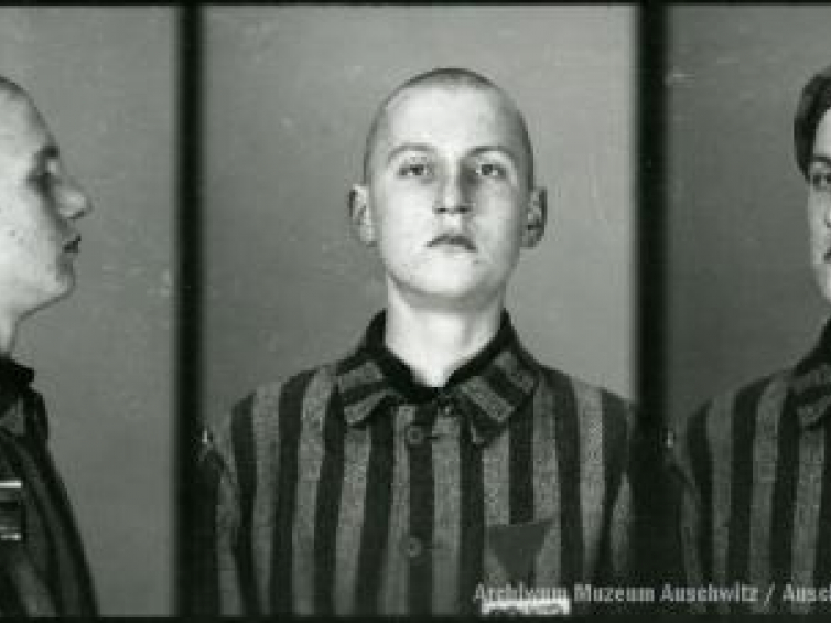 Tadeusz Sobolewicz. Źródło: Archiwum Muzeum Auschwitz.