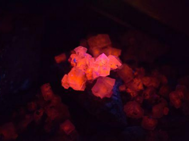 Zjawisko fluorescencji minerałów - główna atrakcja Trasy Przyrodniczej w Kopalni Soli Bochnia. Fot. PAP/S. Rozpędzik