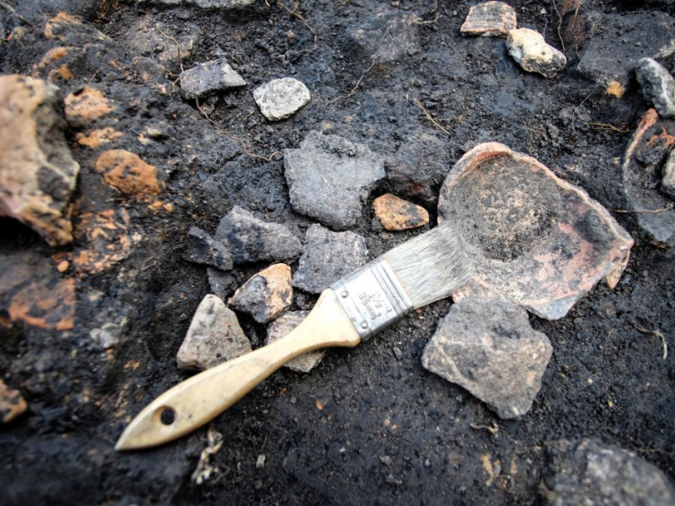 W trakcie badań odkryto przeszło 1000 fragmentów naczyń glinianych, w których najprawdopodobniej pierwotnie znajdowały się zbiory nasion. Fot. Ł. Miechowicz