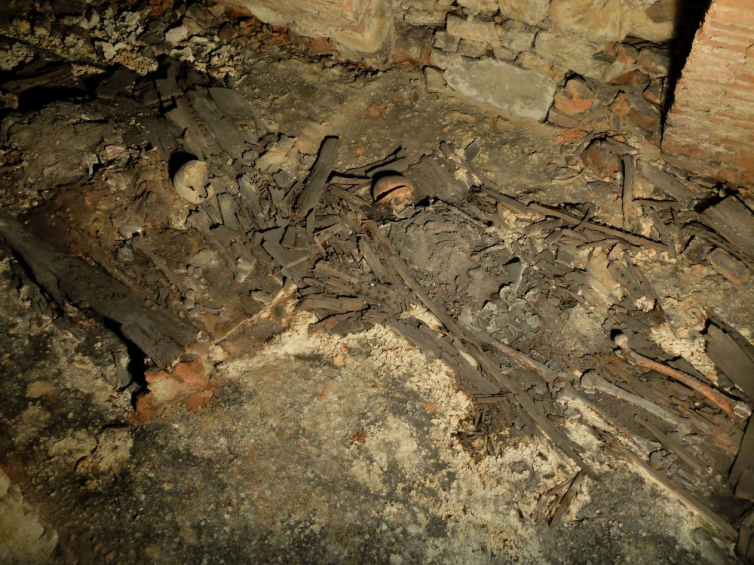 Pozostałości jam grobowych. Źródło: Fundacja Rzeszowskiego Ośrodka Archeologicznego