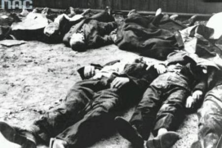 Ciała zamordowanych przez Niemców mieszkańców Woli w czasie powstania. Fot. NAC