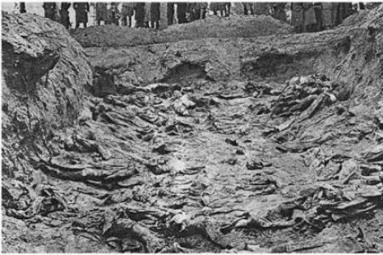 Masowy grób polskich oficerów w Katyniu (1943). Źródło: "Zbrodnia katyńska w świetle dokumentów". Fot. Wikipedia
