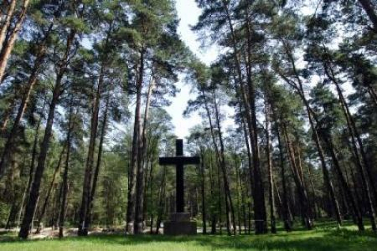 Miejsce tajnego cmentarza NKWD, kryjącego ofiary totalitaryzmu stalinowskiego z lat 1937-1941. Fot. PAP/T. Paczos 