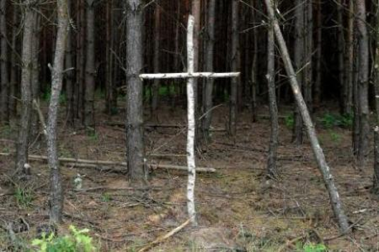 Brzozowy krzyż na skraju lasu przy tzw. trupim polu w rejonie wsi Ostrówki na Ukrainie. Fot. PAP/D. Delmanowicz