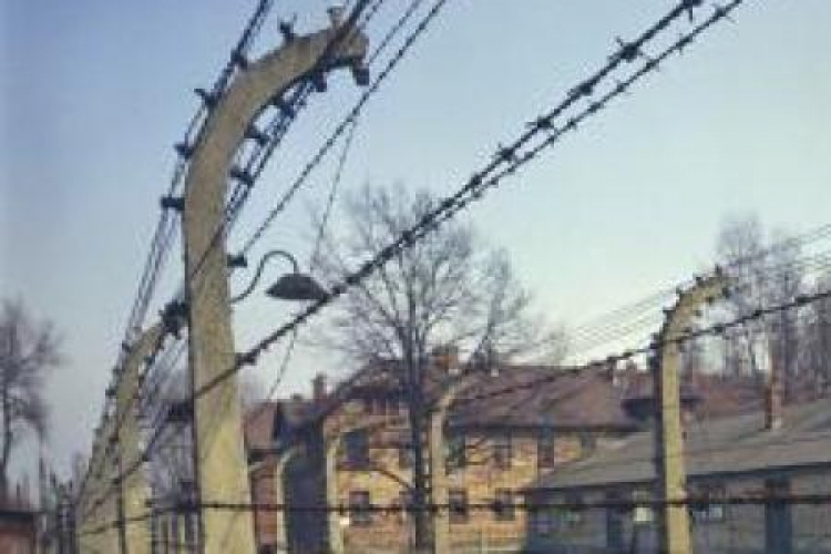 Teren KL Auschwitz-Birkenau. Fot. PAP/W. Kryński