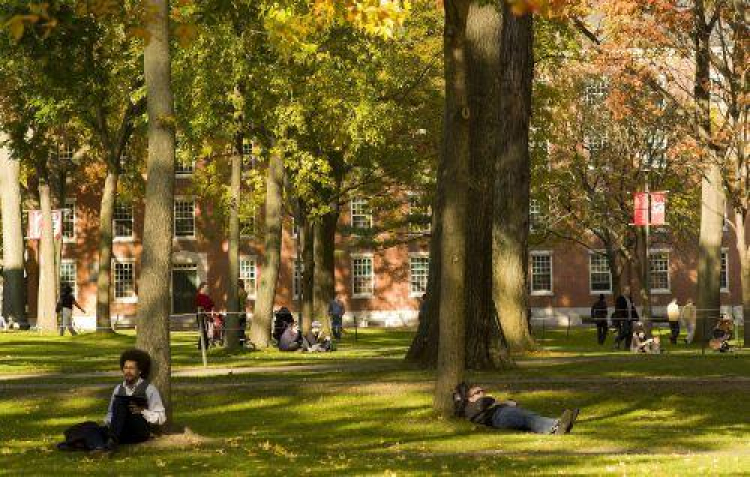 Harvard University. Fot. PAP/EPA