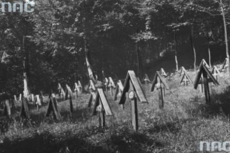 Łużna. Cmentarz wojenny na Pustkach. 1918-1939. Fot. NAC