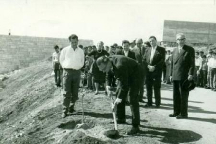 Władysław Bartoszewski sadzi drzewko Rady Pomocy Żydom "Żegota" w Yad Vashem. 1962 r. Źródło:MHŻP