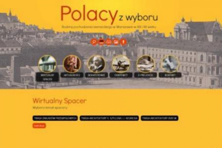 Portal "Polacy z wyboru". Źródło: DSH