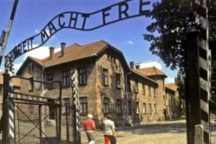 Brama z napisem „Arbeit macht frei” wiodąca do KL Auschwitz. Fot. PAP/J. Ochoński