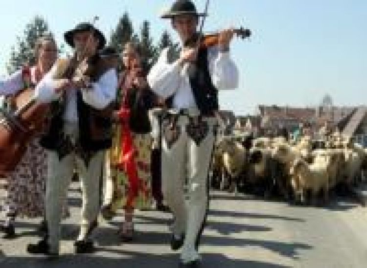 Tradycyjne Święto Bacowskie w Ludźmierzu, rozpoczynające redyk, czyli wypas owiec. Fot. PAP/G. Momot