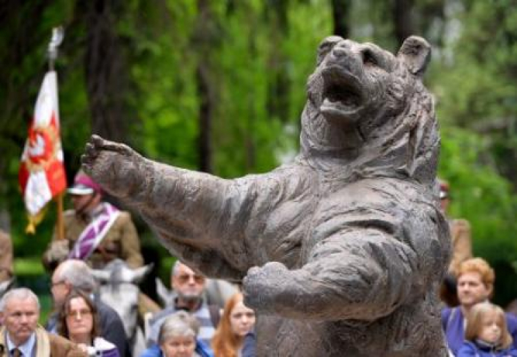 W krakowskim parku Henryka Jordana odsłonięto pomnik niedźwiedzia Wojtka z 2 Korpusu Polskiego. Fot. PAP/J. Bednarczyk