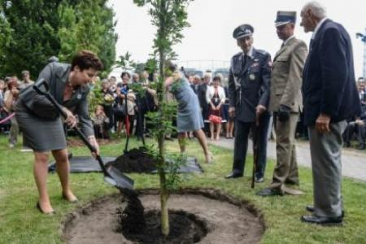 Uroczystość zasadzenia Drzewa Pamięci. Fot. PAP/J. Kamiński