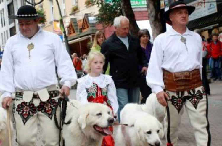 Festiwalu Folkloru Ziem Górskich w Zakopanem. Fot. PAP/G. Momot