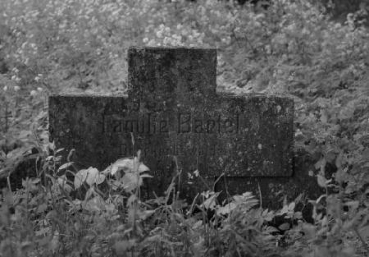 Cmentarz przy zborze mennonitów, holenderskich osadników, którzy przybyli na Żuławy w XVI w. Fot. PAP/T. Waszczuk