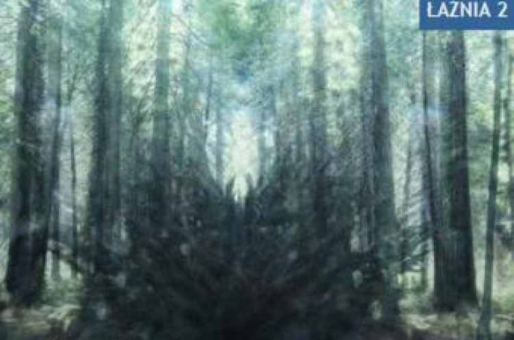 Fragment pracy Dong Yoon Kim'a. Źródło: materiały promocyjne wystawy,. Fragment pracy Dong Yoon Kim'a. Źródło: materiały promocyjne wystawy,.