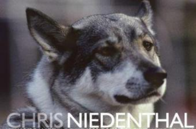 Fragment okładki albumu „Chris Niedenthal. Wybrane fotografie 1973-1989”