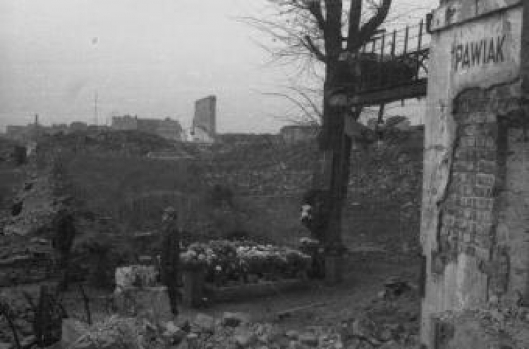 Warta honorowa na gruzach Pawiaka, na zdjęciu widoczny "Wiąz z Pawiaka". 1946.11.01. Fot. PAP/S. Dąbrowiecki