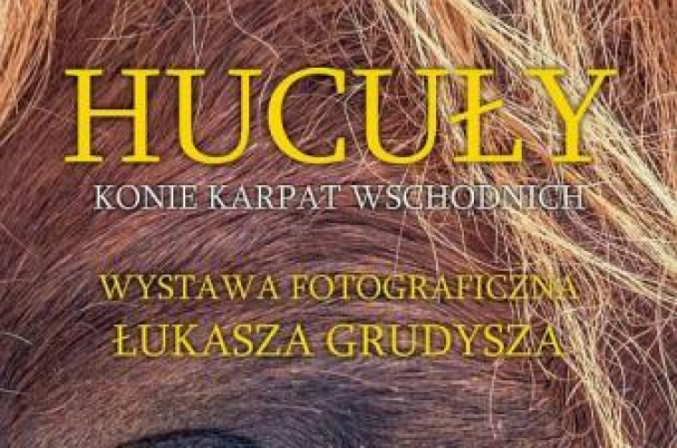 Plakat wystawy "Hucuły – konie Karpat Wschodnich"