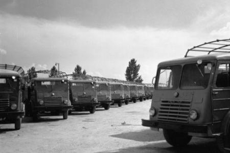 Samochody Star 20 na parkingu przed Fabryką Samochodów Ciężarowych. Starachowice, 1953 r. Fot. PAP/CAF/Kondracki