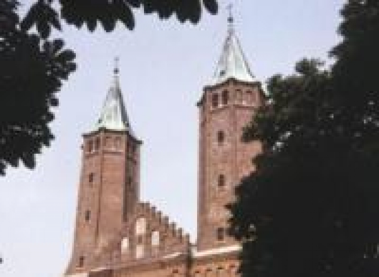 Wieże katedry Wniebowzięcia Najświętszej Marii Panny w Płocku. Fot. PAP/W. Kryński