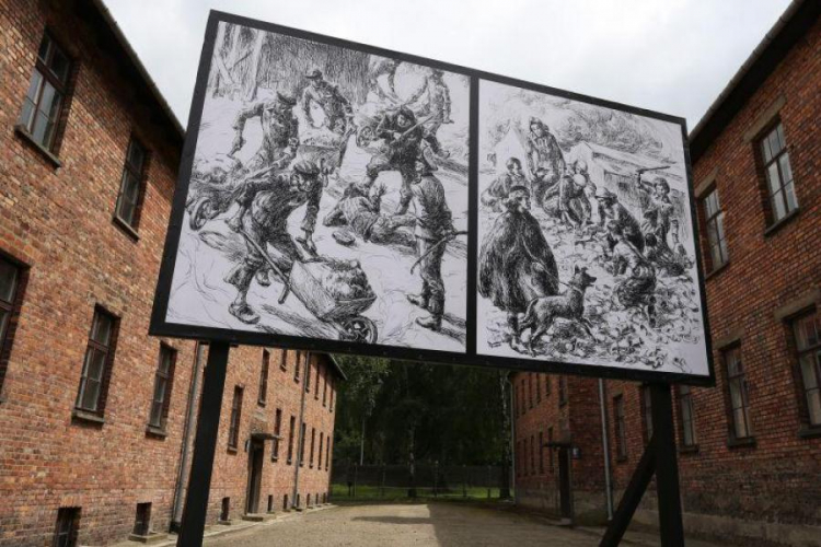 Wystawa plenerowa na terenie Muzeum Auschwitz. Fot. PAP/S. Rozpędzik 