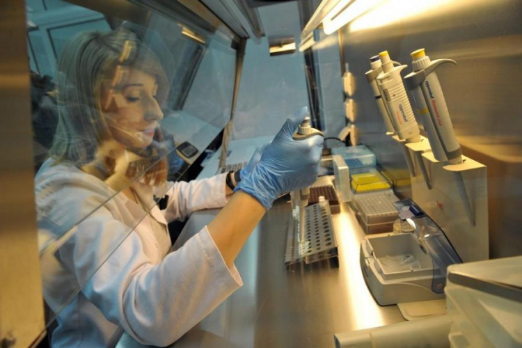 Polska Baza Genetyczna Ofiar Totalitaryzmów - komora laminarna do reakcji PCR. Fot. PAP/M. Bielecki Polska Baza Genetyczna Ofiar Totalitaryzmów - komora laminarna do reakcji PCR. Fot. PAP/M. Bielecki