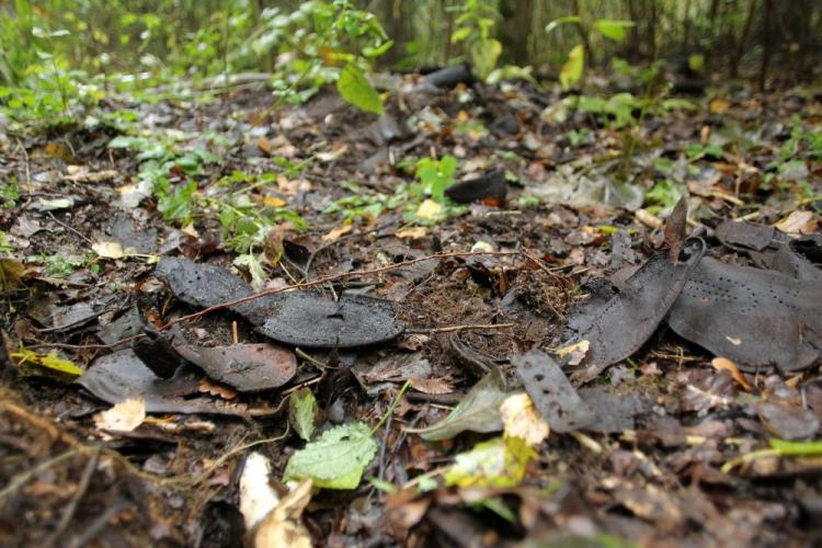 Odnalezione resztki butów należące prawdopodobnie do więźniów niemieckiego obozu koncentracyjnego KL Stutthof. Fot. PAP/P. Wittman