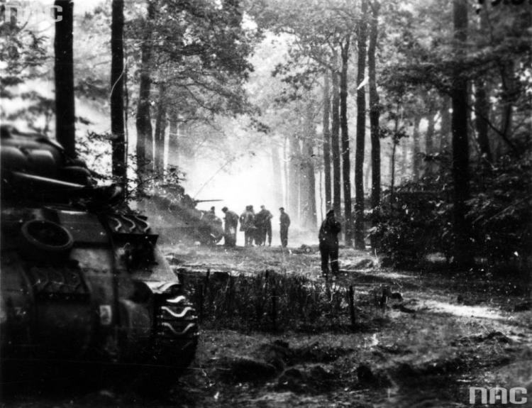 1 Dywizja Pancerna w Holandii. 10.1944. Fot. NAC