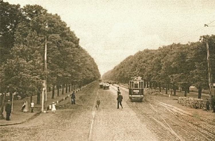 Wielka Aleja (Aleja Zwycięstwa) w Gdańsku. Ok. 1900 r. Źródło: Wikimedia Commons
