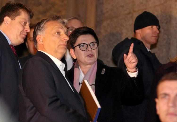 Premier Beata Szydło (3L) oraz premier Węgier Viktor Orban (2L) zwiedzają Muzeum Narodowe w Krakowie. Fot. PAP/S. Rozpędzik