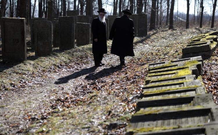  Ortodoksyjni Żydzi pośród macew w sąsiedztwie grobu Elimelecha Weissbluma, spoczywającego w Leżajsku na Podkarpaciu. Fot. PAP. D. Delmanowicz