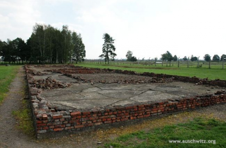 Ruiny krematorium V na terenie b. niemieckiego obozu Auschwitz II-Birkenau. Fot. Paweł Sawicki. Źródło: Muzeum Auschwitz