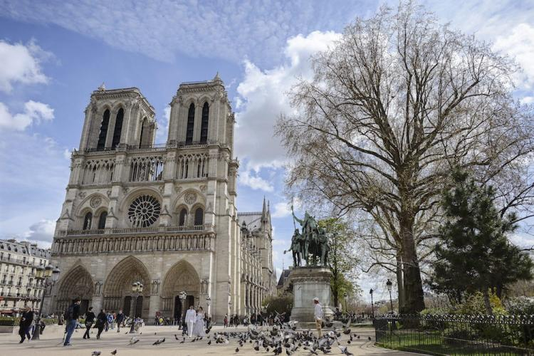 Katedra Notre Dame w Paryżu. Fot. PAP/EPA