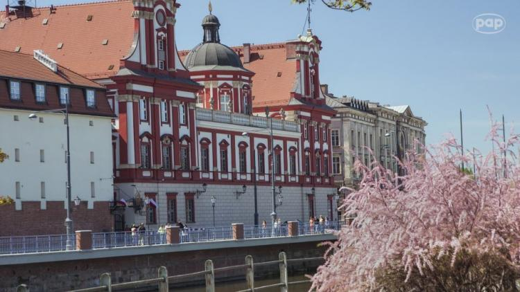 Zakład Narodowy im. Ossolińskich we Wrocławiu. Źródło: serwis wideo PAP