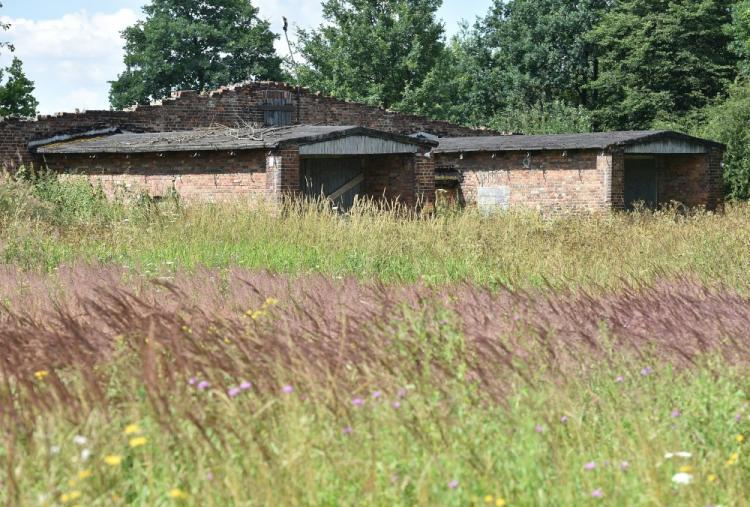 Poobozowy budynek tzw. małych ziemniaczarek na terenie przy byłym niemieckim obozie Auschwitz II-Birkenau. Fot. PAP/J. Bednarczyk