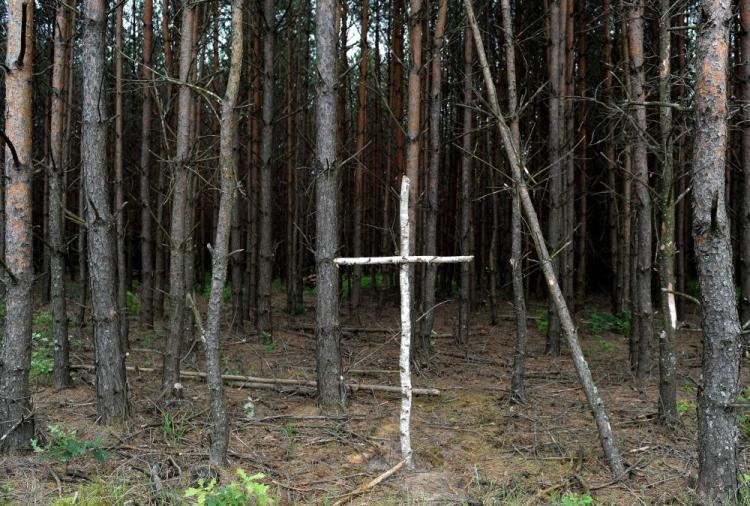 Brzozowy krzyż na skraju lasu przy tzw. trupim polu w rejonie wsi Ostrówki na Ukrainie, gdzie poszukiwane były szczątki ofiar UPA. 2011 r. Fot. PAP/D. Delmanowicz