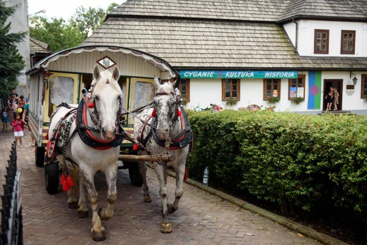 Międzynarodowy Tabor Pamięci Romów wyruszył 27 bm. sprzed Muzeum Etnograficznego w Tarnowie, aby dotrzeć do miejsc upamiętniających zagładę Romów. Fot. PAP/P. Topolski