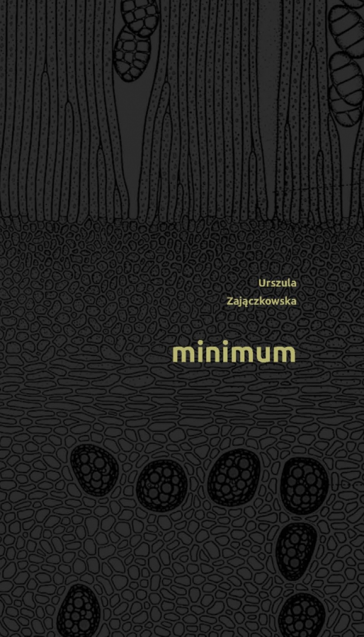 Tomik "Minimum" Urszuli Zajączkowskiej (wydawnictwo "Warstwy")