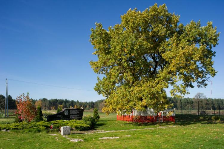 Zułów, miejsce urodzin marszałka Józefa Piłsudskiego, odległe od Wilna o 60 km. Fot. PAP/W. Pacewicz