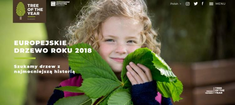 Konkurs Europejskie Drzewo Roku. Źródło: www.treeoftheyear.org