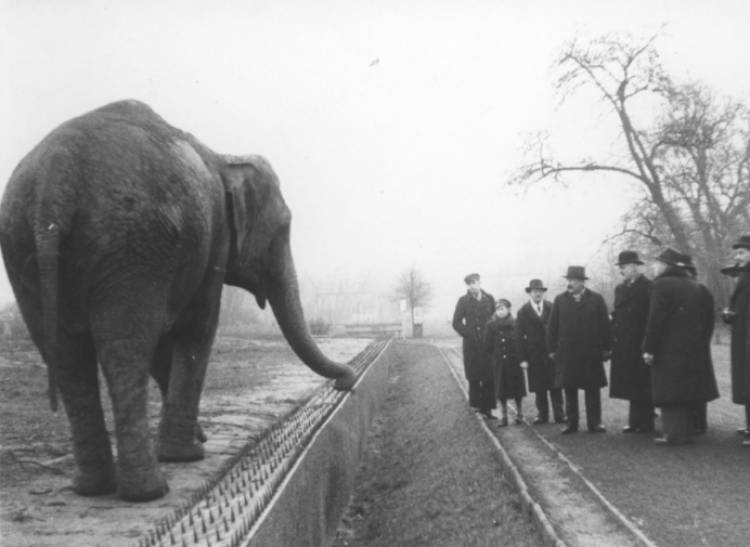 Burmistrz Kowna Anton Merkis w towarzystwie wiceprezydenta m.st. Warszawy Jana Pohoskiego w czasie zwiedzania warszawskiego ZOO, 1938 r. Źródło: NAC