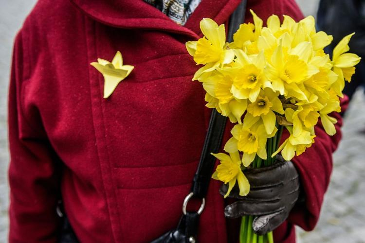 3. edycja akcji "Żonkile" upamiętniającej rocznicę wybuchu powstania w getcie warszawskim. Warszawa, 19.04.2015. Fot. PAP/J. Kamiński