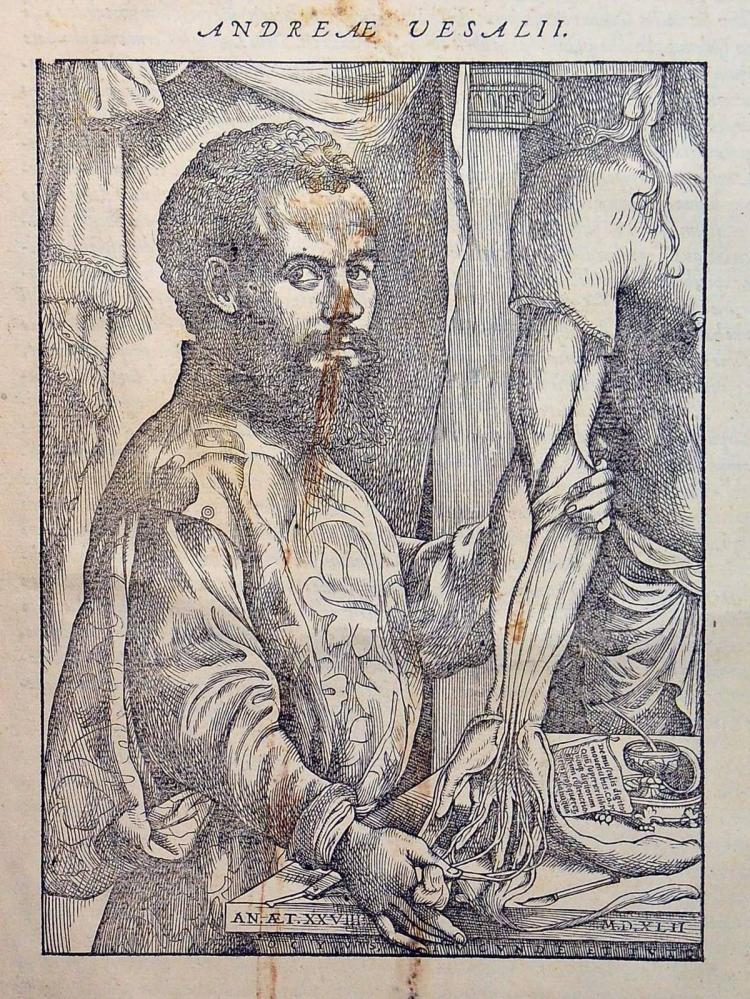 Portret Andreasa Vesaliusa, zamieszczony na stronie poprzedzającej początek pierwszej księgi „De humani corporis fabrica”. Autorem portretu był Jan van Calcar, niderlandzki malarz i rysownik, uczeń Tycjana. Źródło: Książnica Cieszyńska