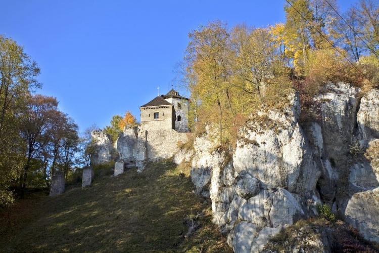 Ruiny zamku Kazimierza Wielkiego w Ojcowie. Fot. PAP/J. Ochoński