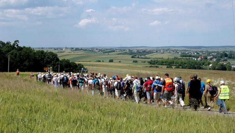 Pielgrzymi w drodze na Jasną Górę. Fot. PAP/D. Delmanowicz