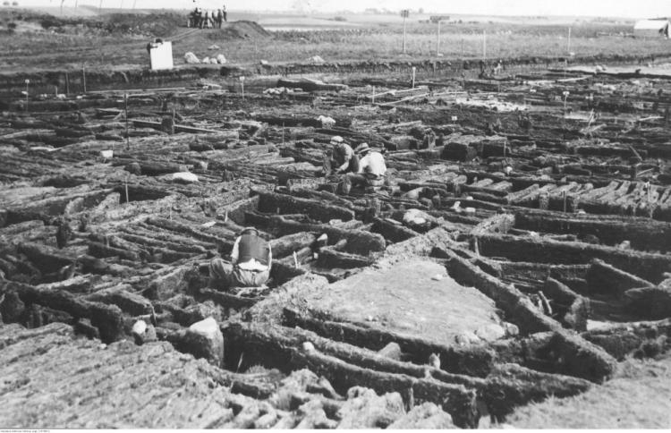 Wykopaliska na terenie osady kultury łużyckiej w Biskupinie. 1935 r. Fot. NAC